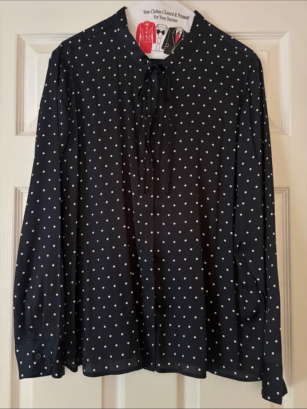 Banana Republic Black and White Polka Dot Tie-Neck Blouse